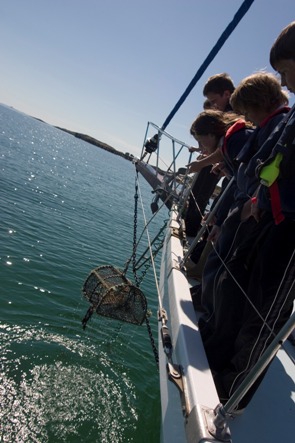 Investigating local marine life during a workshop onboard Silurian